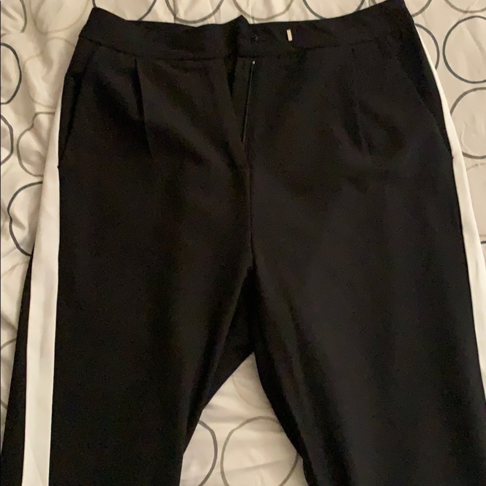 Dress Pants